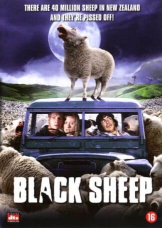 Black Sheep