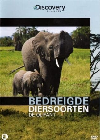 De Olifant Bedreigde Diersoorten