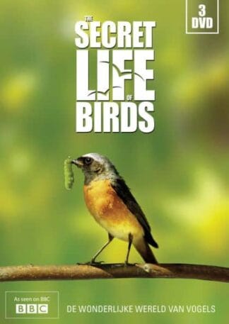 Secret Life of Birds